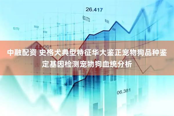 中融配资 史格犬典型特征华大鉴正宠物狗品种鉴定基因检测宠物狗血统分析