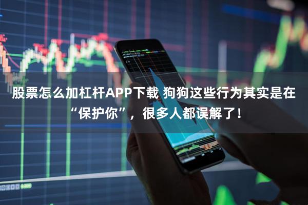 股票怎么加杠杆APP下载 狗狗这些行为其实是在“保护你”，很多人都误解了！