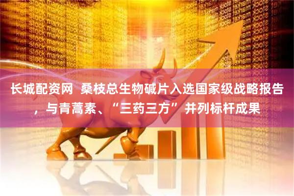 长城配资网  桑枝总生物碱片入选国家级战略报告，与青蒿素、“三药三方” 并列标杆成果